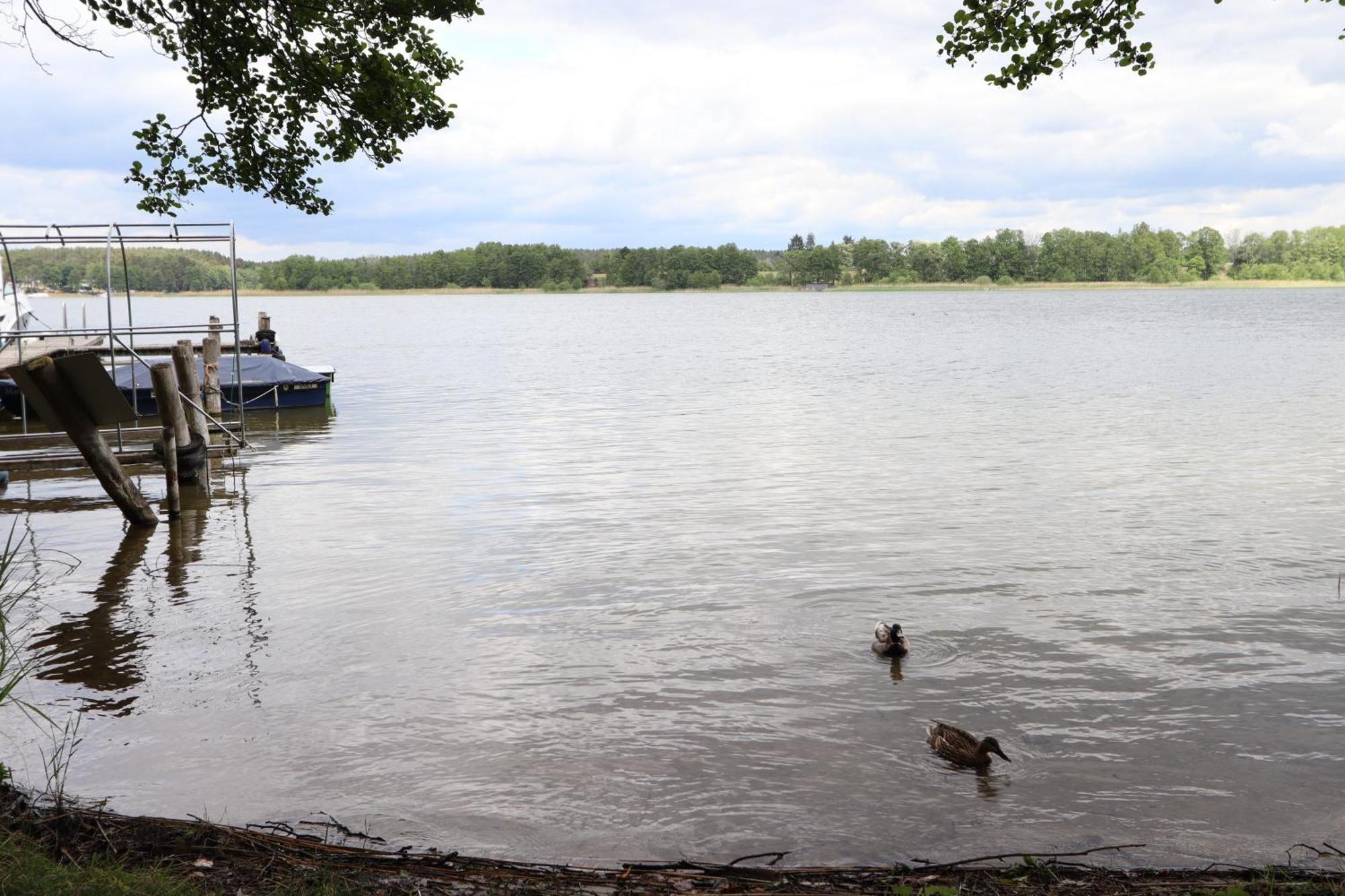 Ferienwohnung Habicht Villa-Paelitzsee Grosszerlang Bagian luar foto